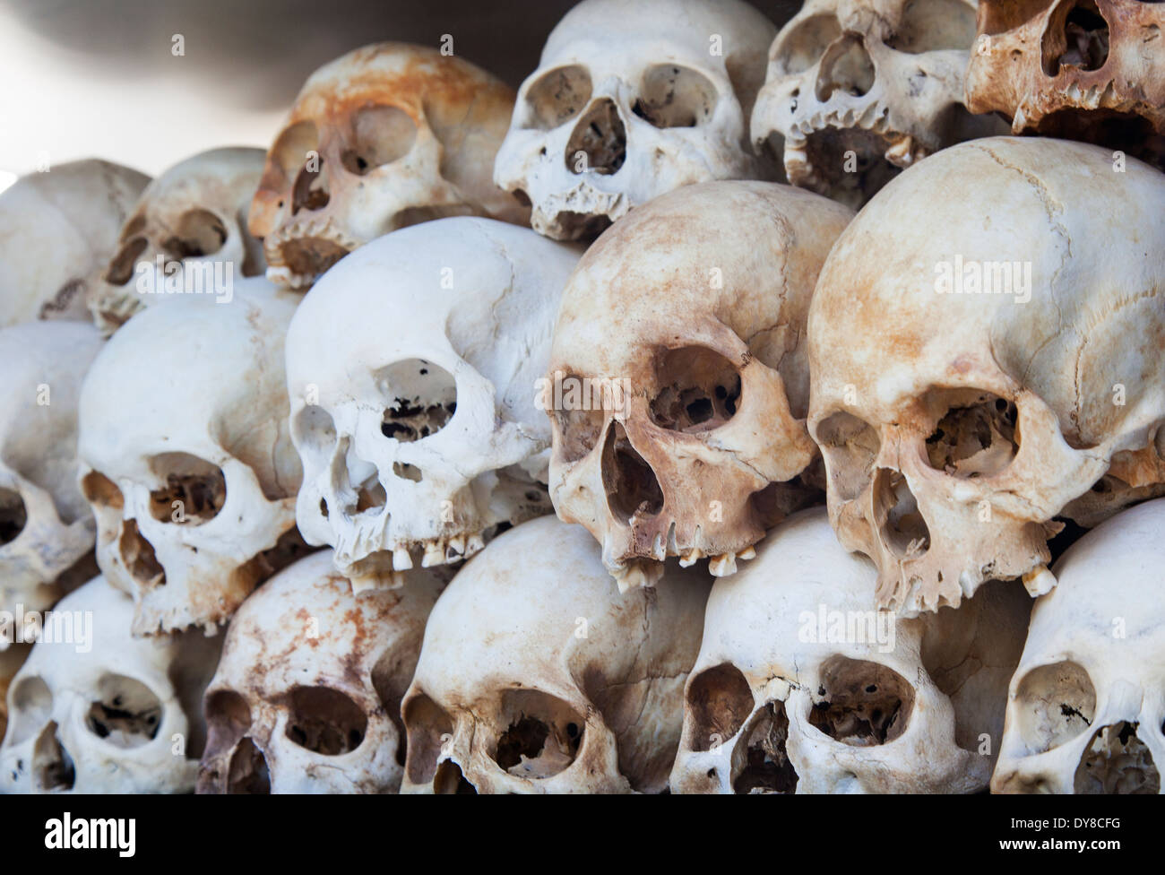Schädel, angezeigt in der Killing Fields (Choeung Ek) Gedenkstätte in Phnom Penh, Kambodscha Stockfoto