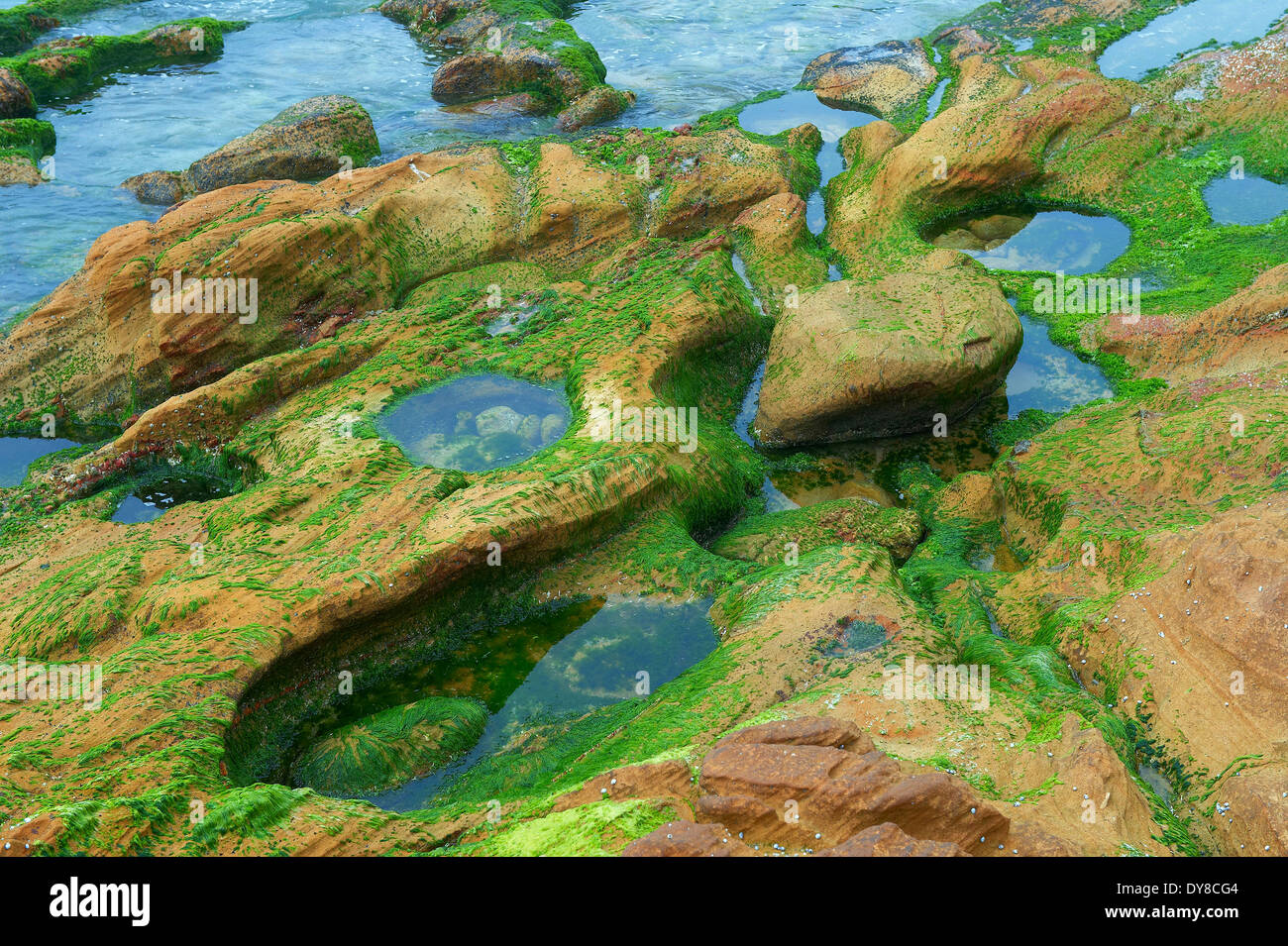 Australien, Ben Boyd, Nationalpark, Klippen, Felsen, Meer, New-South.Wales, Wasser Stockfoto