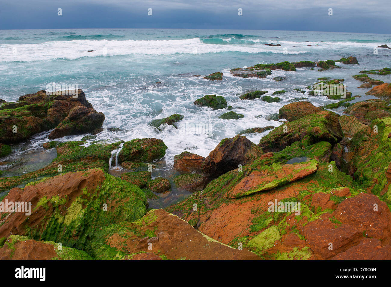 Australien, Ben Boyd, Nationalpark, Klippen, Felsen, Meer, Küste, New-South.Wales, Wellen Stockfoto