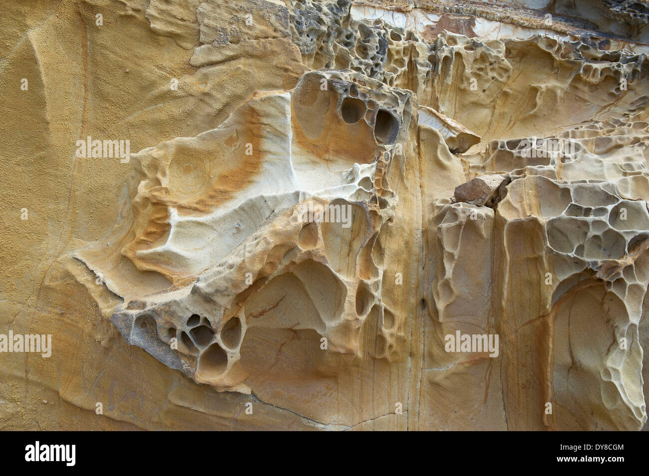 Australien, Ben Boyd, Nationalpark, Klippe, rock, New-South.Wales, Struktur, Geologie Stockfoto