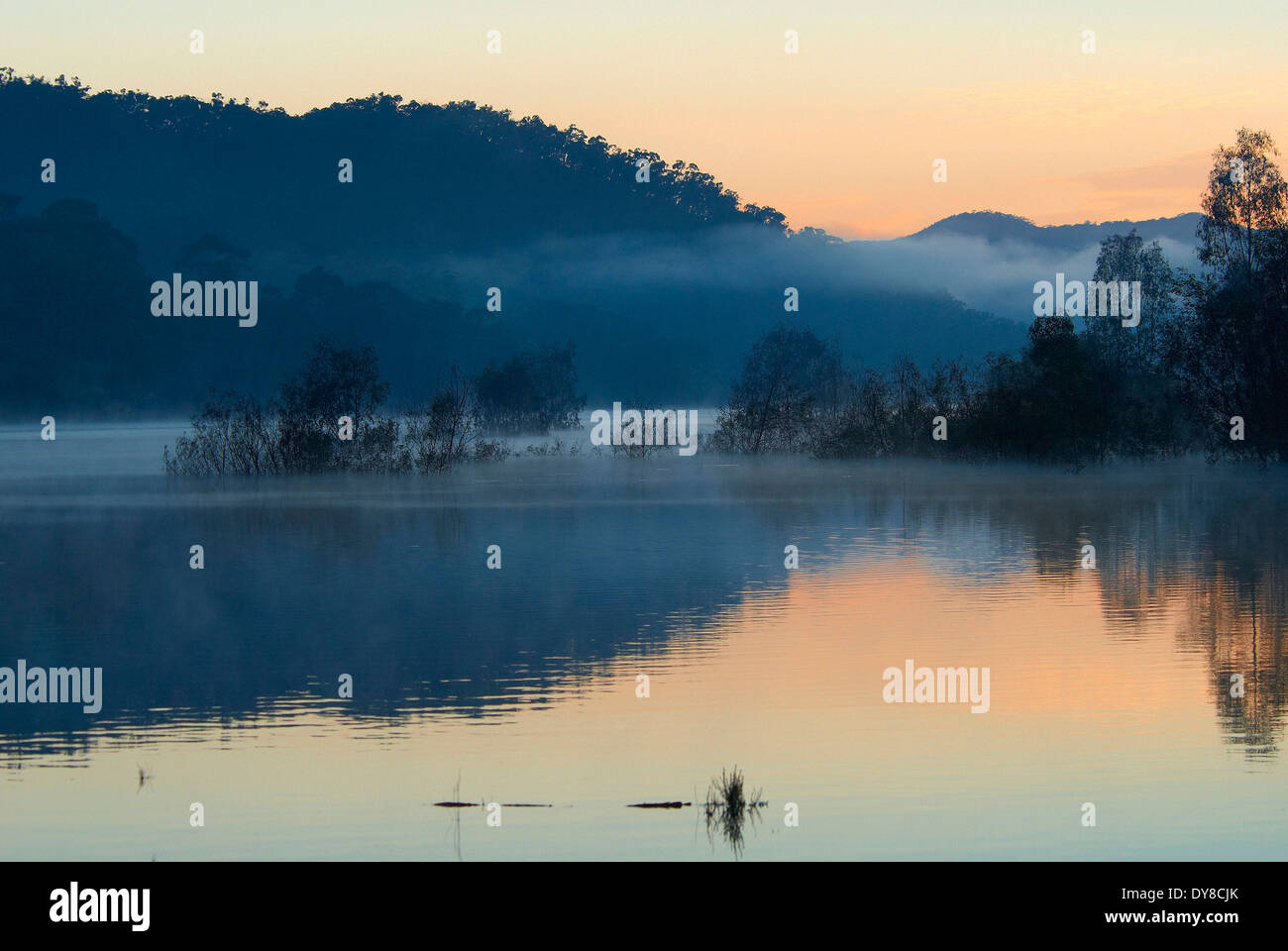 Australien, Lake Eildon, Nationalpark, Nebel, Stimmung, Victoria, Wasser, See, Stockfoto