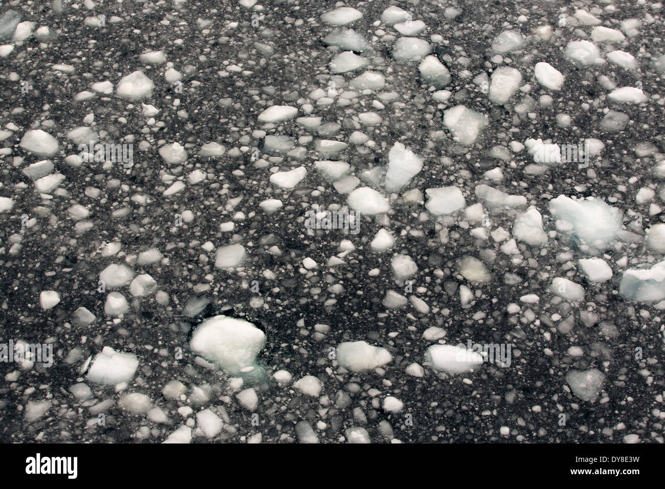 Schmelzendes Meereis vor der antarktischen Halbinsel. Dieser Bereich ist eines der am schnellsten Erwärmung des Planeten. Stockfoto