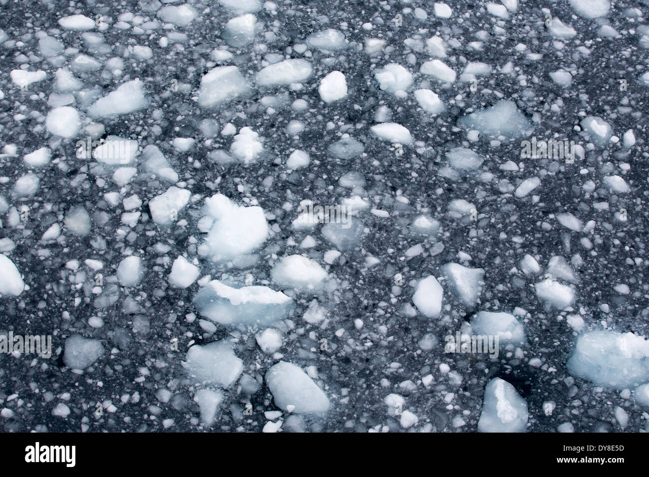 Schmelzendes Meereis vor der antarktischen Halbinsel. Dieser Bereich ist eines der am schnellsten Erwärmung des Planeten. Stockfoto