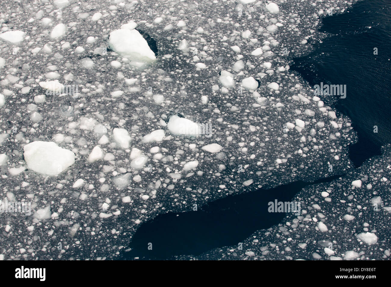 Schmelzendes Meereis vor der antarktischen Halbinsel. Dieser Bereich ist eines der am schnellsten Erwärmung des Planeten. Stockfoto