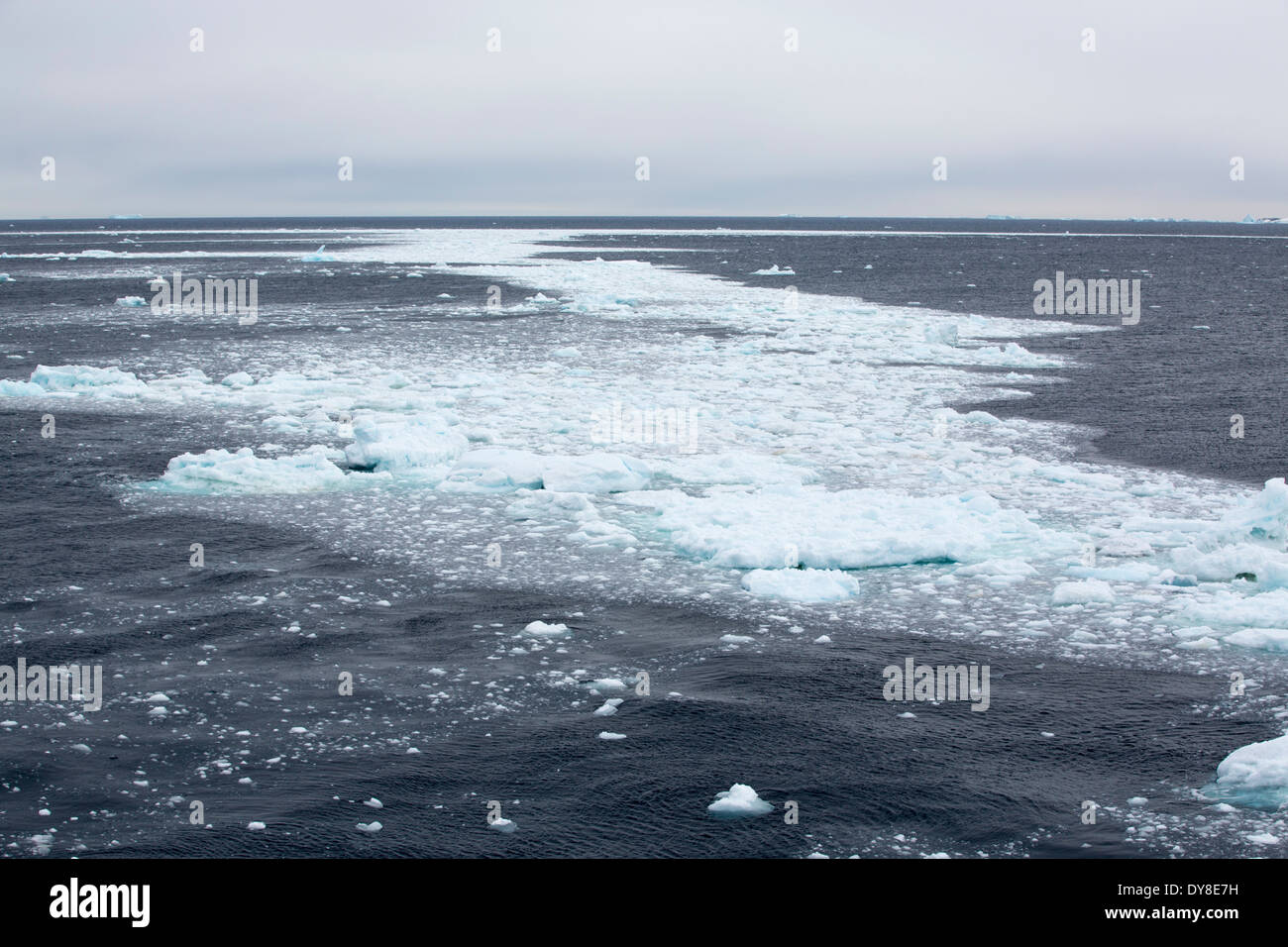 Schmelzendes Meereis vor der antarktischen Halbinsel. Dieser Bereich ist eines der am schnellsten Erwärmung des Planeten. Stockfoto