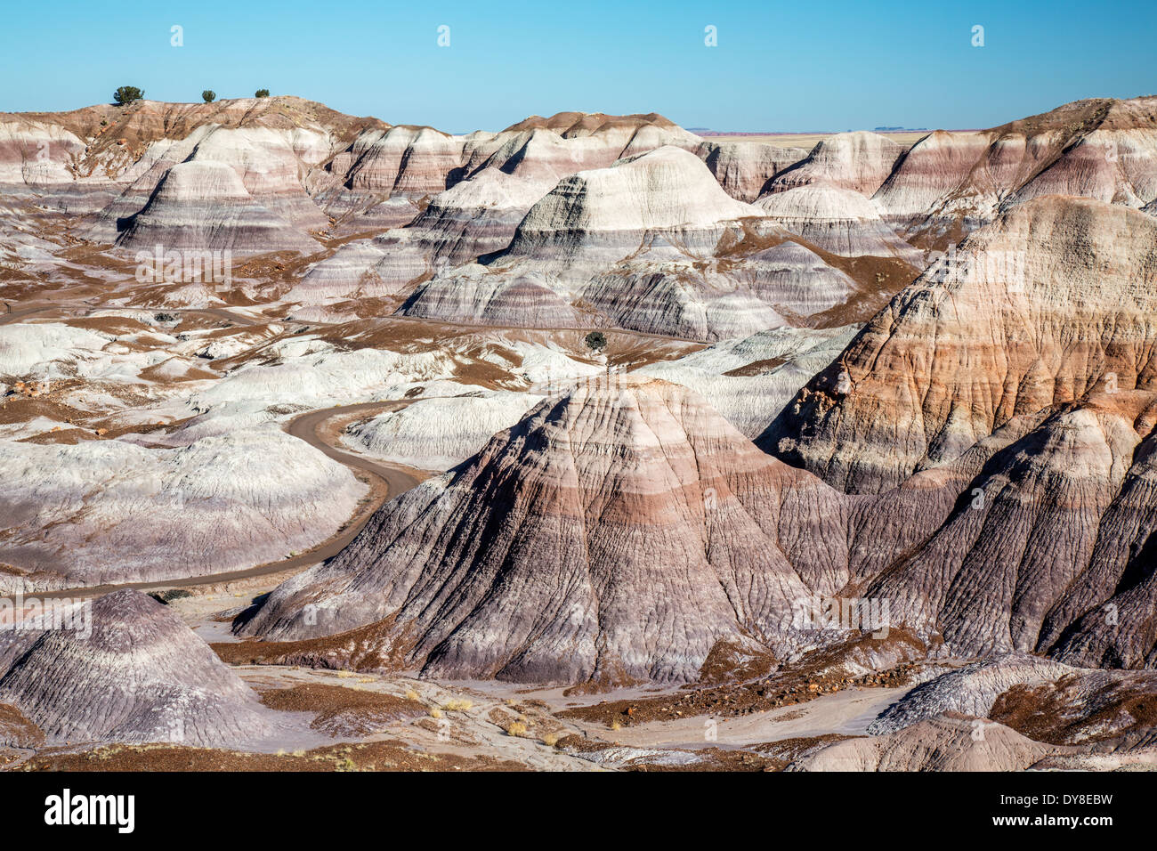 USA, Arizona, versteinert Forest National Park, Blue Mesa. Stockfoto