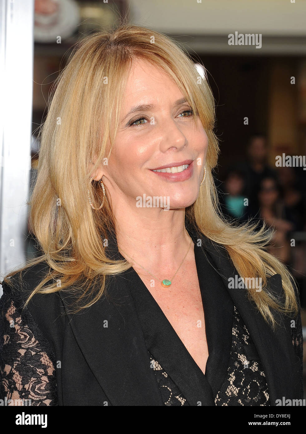 ROSANNA ARQUETTE U.S. Schauspielerin im April 2014. Foto Jeffrey Mayer Stockfoto