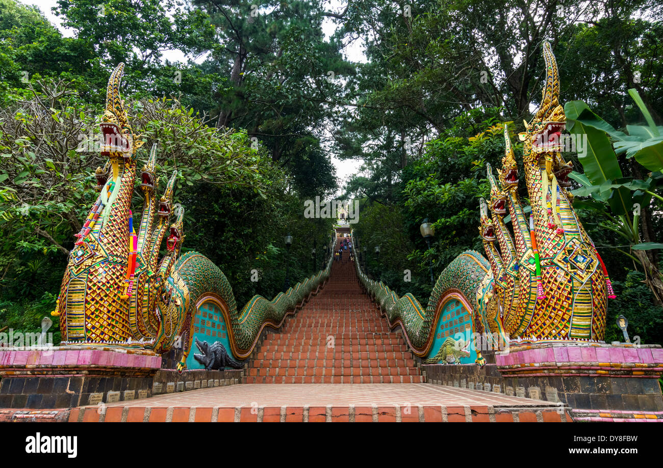 Dragon-Treppe zum Tempel Chiang Mai, Thailand Stockfoto