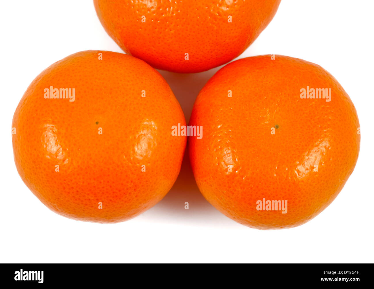 Satsuma Orangen weiße Studio Hintergrundbild Stockfoto