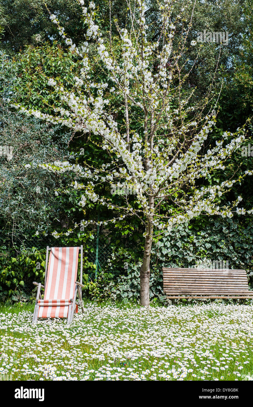 Perugia, Umbrien. Ruhiger Garten im Frühjahr, mit vielen Blumen und großen Baum mit weißen Blüten Stockfoto