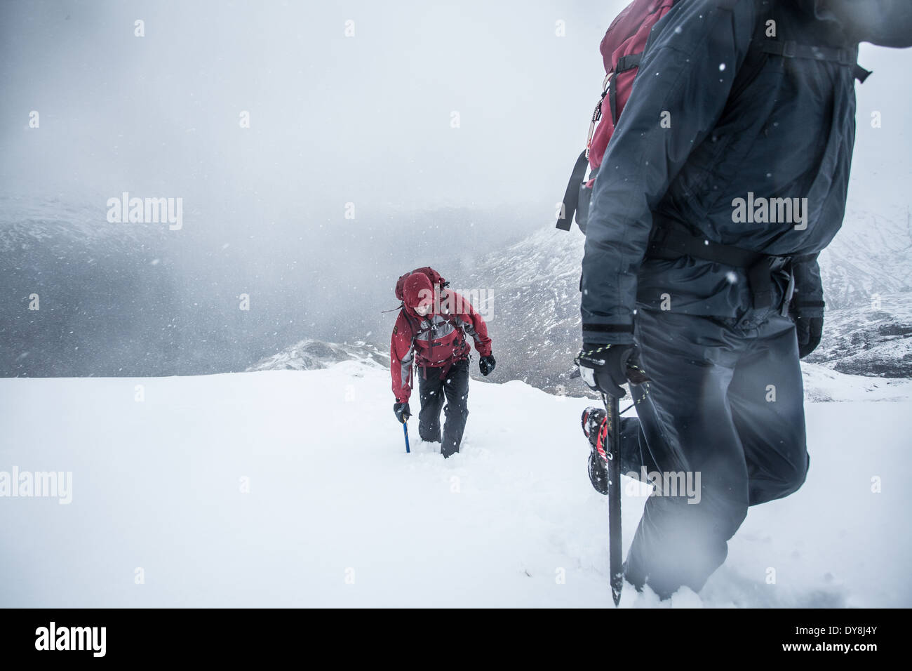 Winter-Bergsteigen in den schottischen highlands Stockfoto