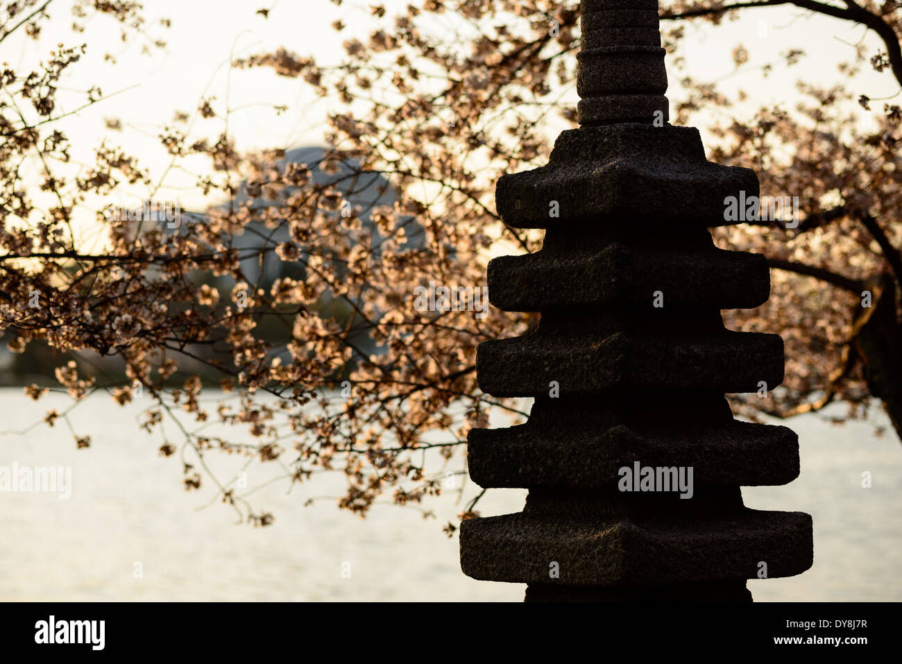 WASHINGTON DC, Vereinigte Staaten – das goldene Sonnenlicht am frühen Morgen erleuchtet die japanische Pagode am Tidal Basin. Diese historische Steinlaterne, ein Geschenk aus Japan, ist in warmes Licht getaucht und schafft eine ruhige und malerische Szene, die den kulturellen Austausch zwischen den Vereinigten Staaten und Japan unterstreicht. Stockfoto