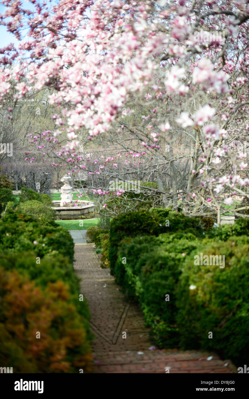 WASHINGTON DC, Vereinigte Staaten – die Dumbarton Oaks Gardens, ein historisches Anwesen im Viertel Georgetown, bieten wunderschön gestaltete Gärten und historische Architektur. Diese Gärten wurden von der renommierten Landschaftsarchitektin Beatrix Farrand entworfen und bieten eine Vielzahl von Themenbereichen, darunter Terrassen, Obstgärten und formelle Gärten. Dumbarton Oaks ist ein bemerkenswertes Beispiel für die amerikanische Gartengestaltung des frühen 20. Jahrhunderts. Stockfoto