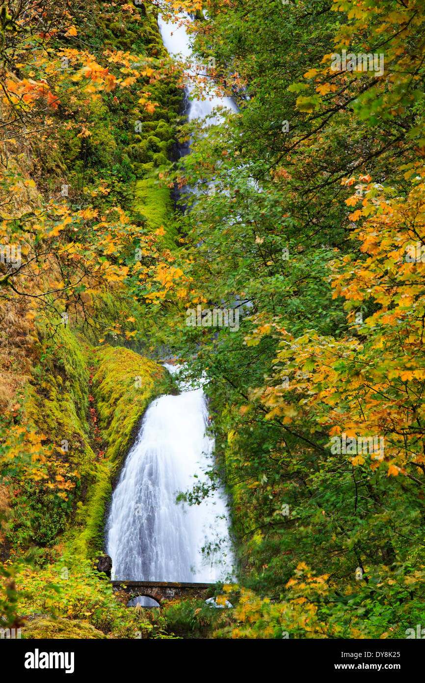 USA, Oregon, Columbia River Gorge, Wahkeena Wasserfälle (242 Fuß). Stockfoto