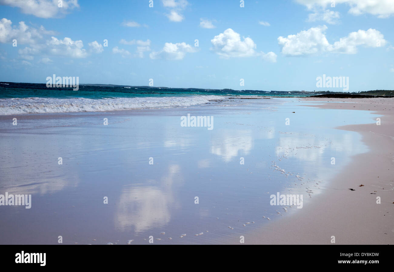 Pink Sands von Harbour Island, Bahamas Stockfoto