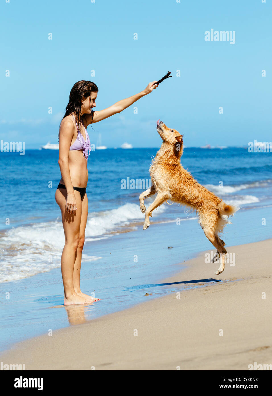 Junge Frau spielt mit ihren entzückenden Golden Retriever am Strand, glücklichen Hund sprang in die Luft. Stockfoto