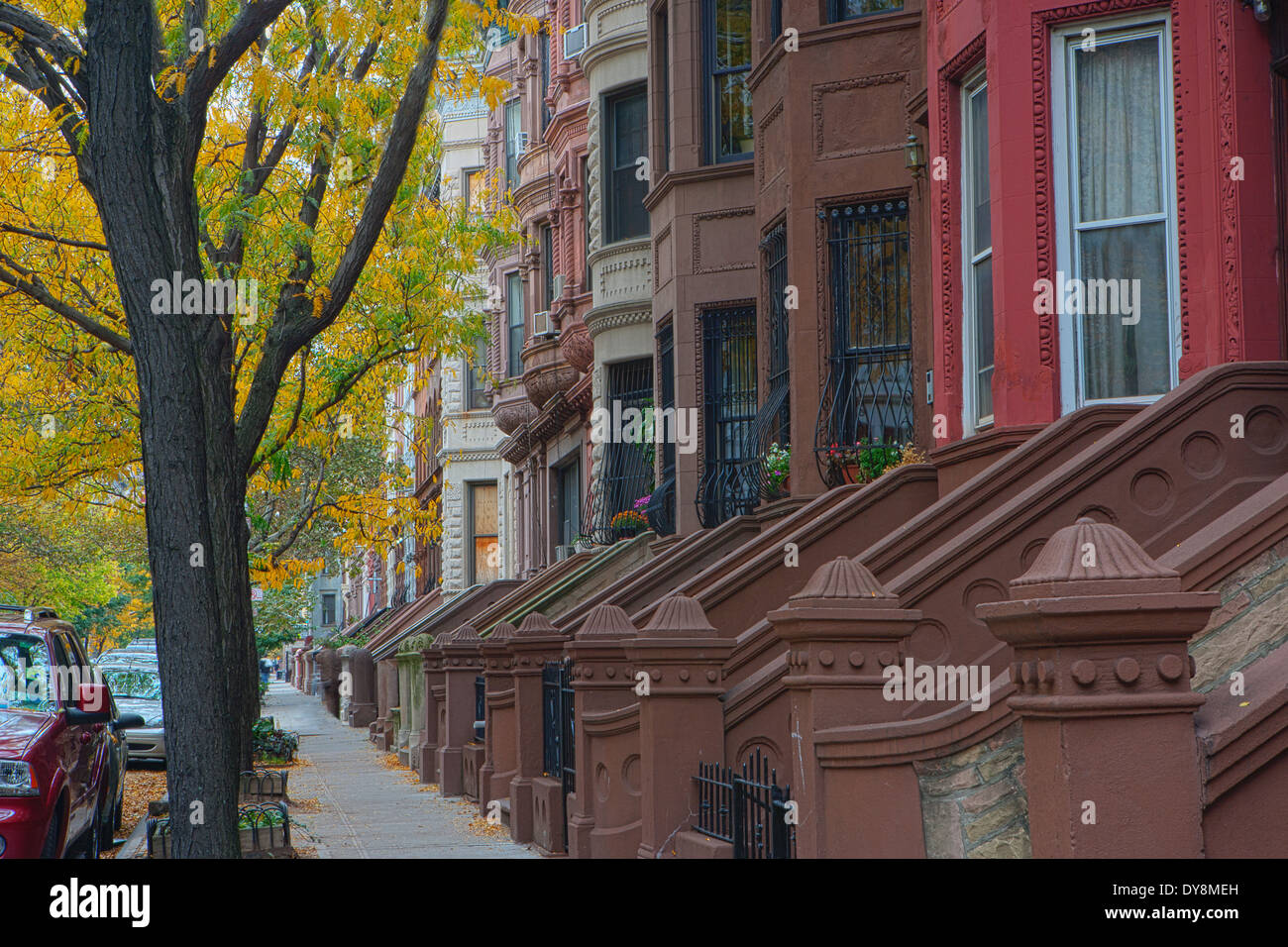 Harlem-Reihenhäuser im Herbst, New York City, New York, USA Stockfoto