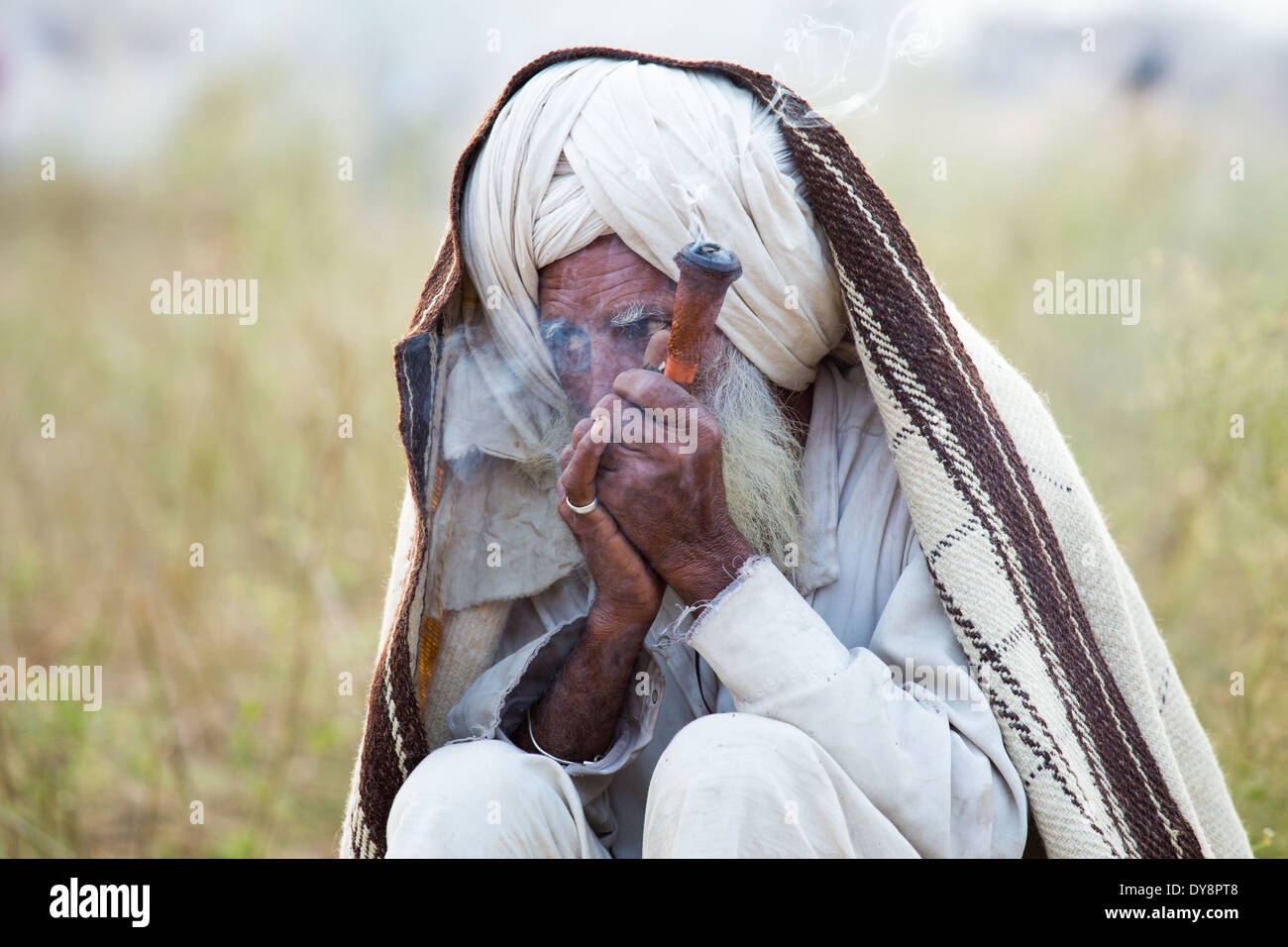 Kamel Pushkar Mela, Pushkar, Rajasthan, Indien Stockfoto