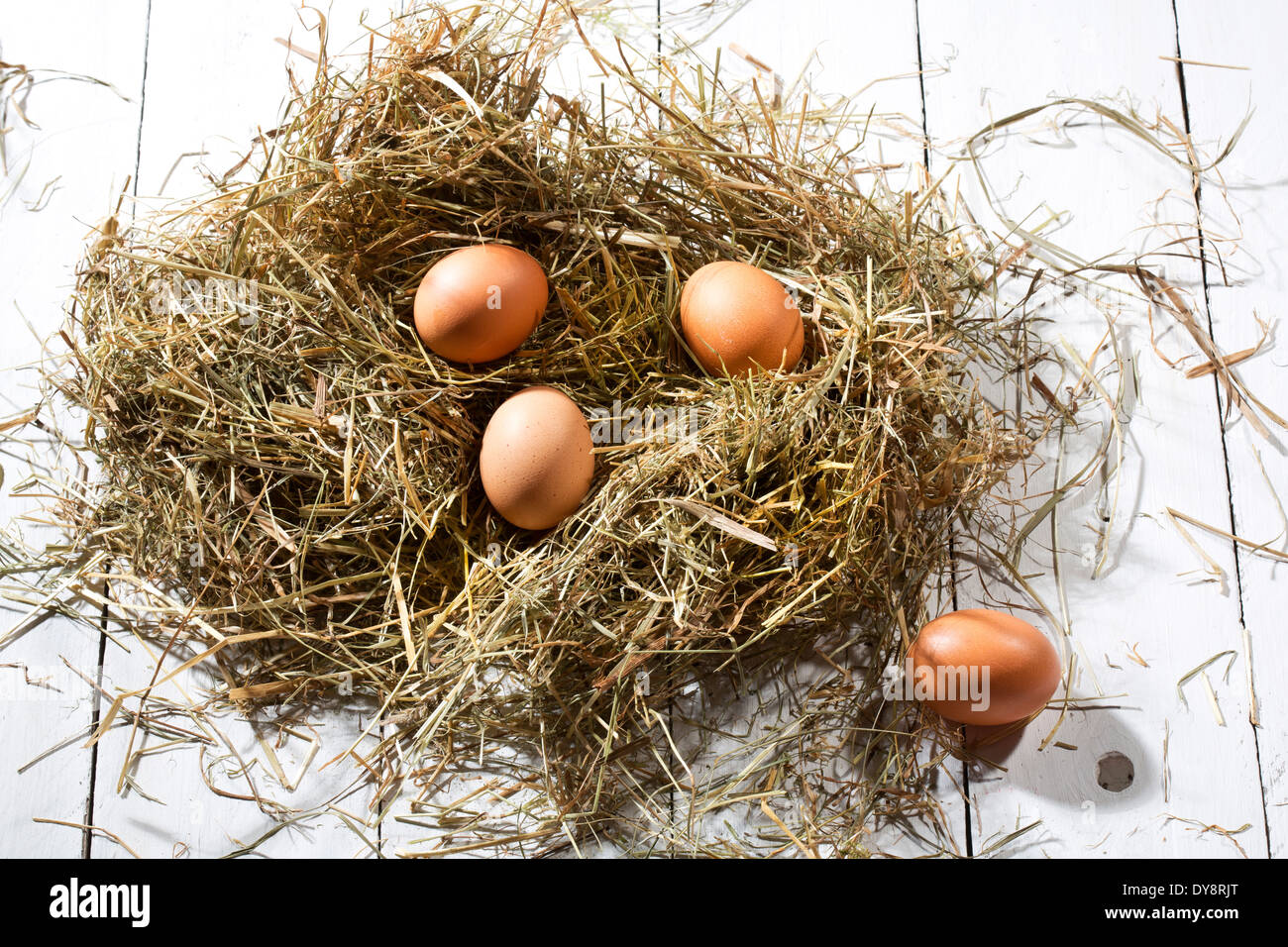 Osternest und vier braunen Eiern auf weißer Holztisch Stockfoto