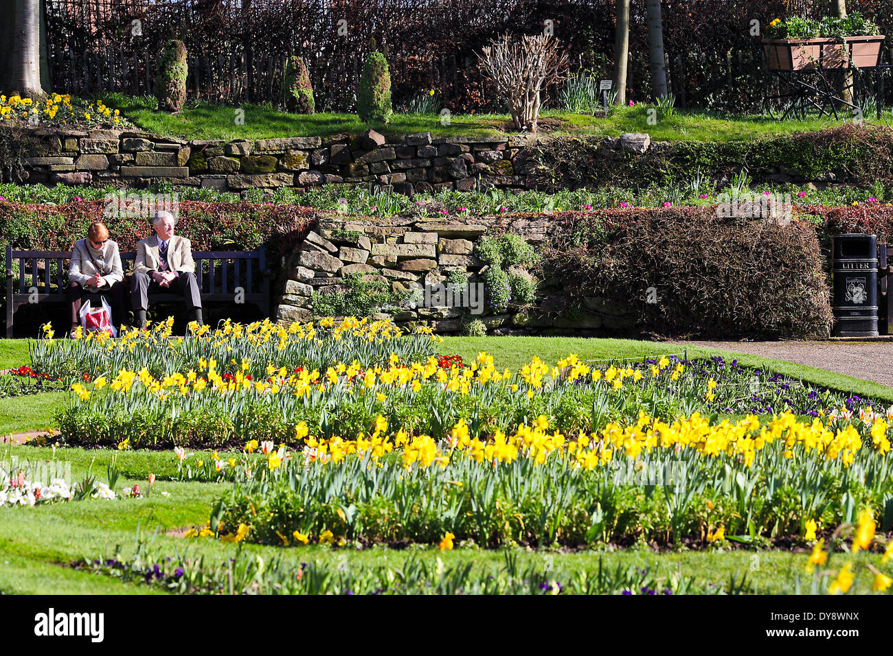 Dauern, bis f oder diese Coupleand entspannen Sie sich in die schöne Blumengestecke innerhalb der Dingle in Shrewsbury im frühen Frühjahr. Stockfoto