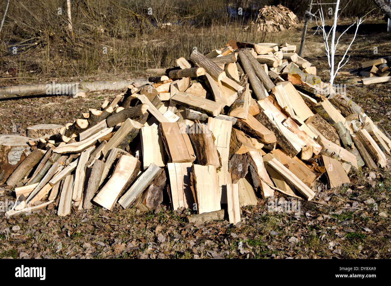 frisches Brennholz Stapel im Frühjahr Bauerngarten Stockfoto
