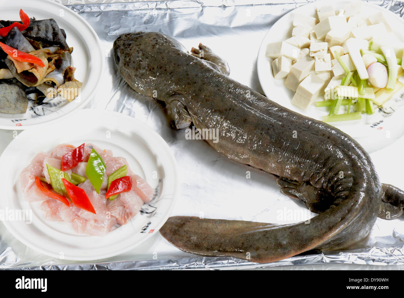 Chinesisches Essen: Giant salamander Stockfoto