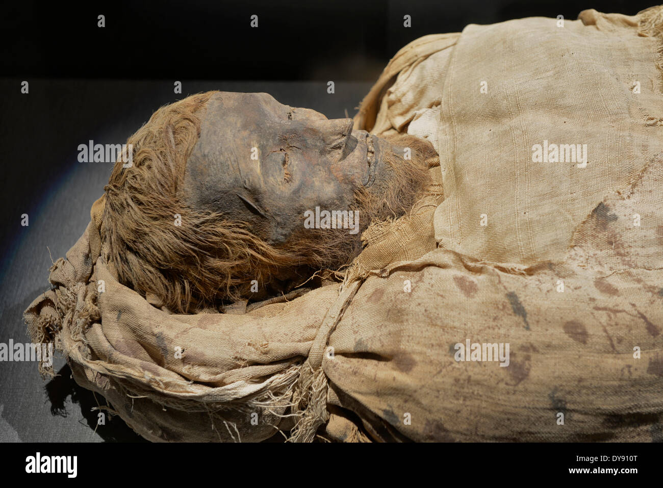 USA Vereinigte Staaten Amerika Texas Houston Museum der Naturwissenschaften Naturwissenschaften Museumshalle altägyptische Mumie Ägypten Stockfoto