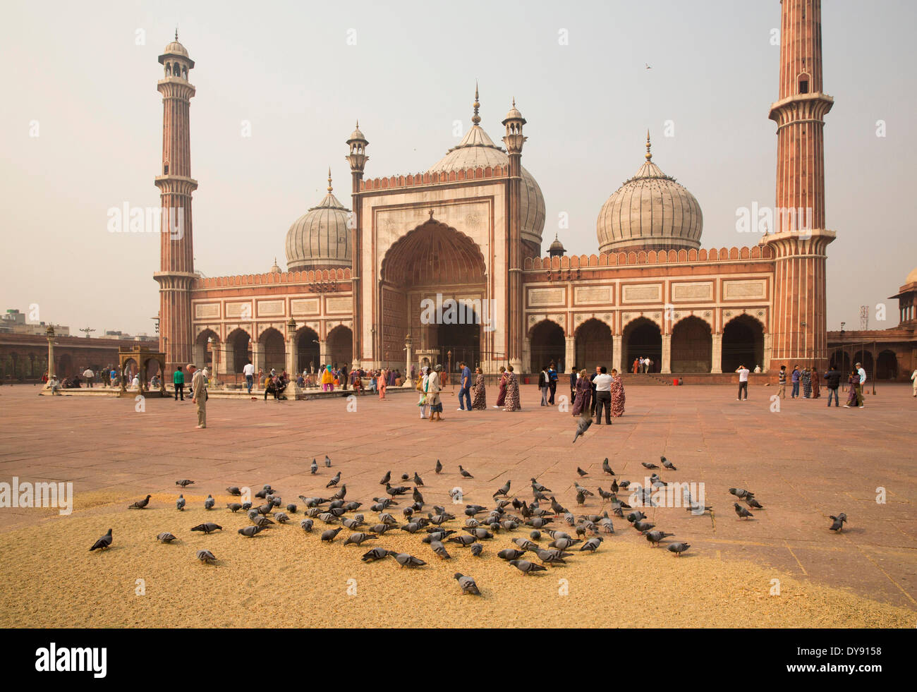 Jama Masjid, Moschee, Alt-Delhi, Delhi, Meisterwerk, Mogul Architektur, Asien, Kirche, Religion, Türme, Ort, Tauben Stockfoto