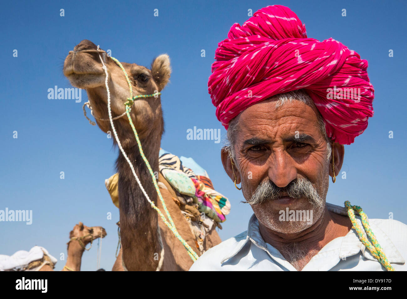 Kamel-Treiber, Camel, Asien, Indien, Mann, Turban, Kamel, Dromedar, Rajasthan, Stockfoto