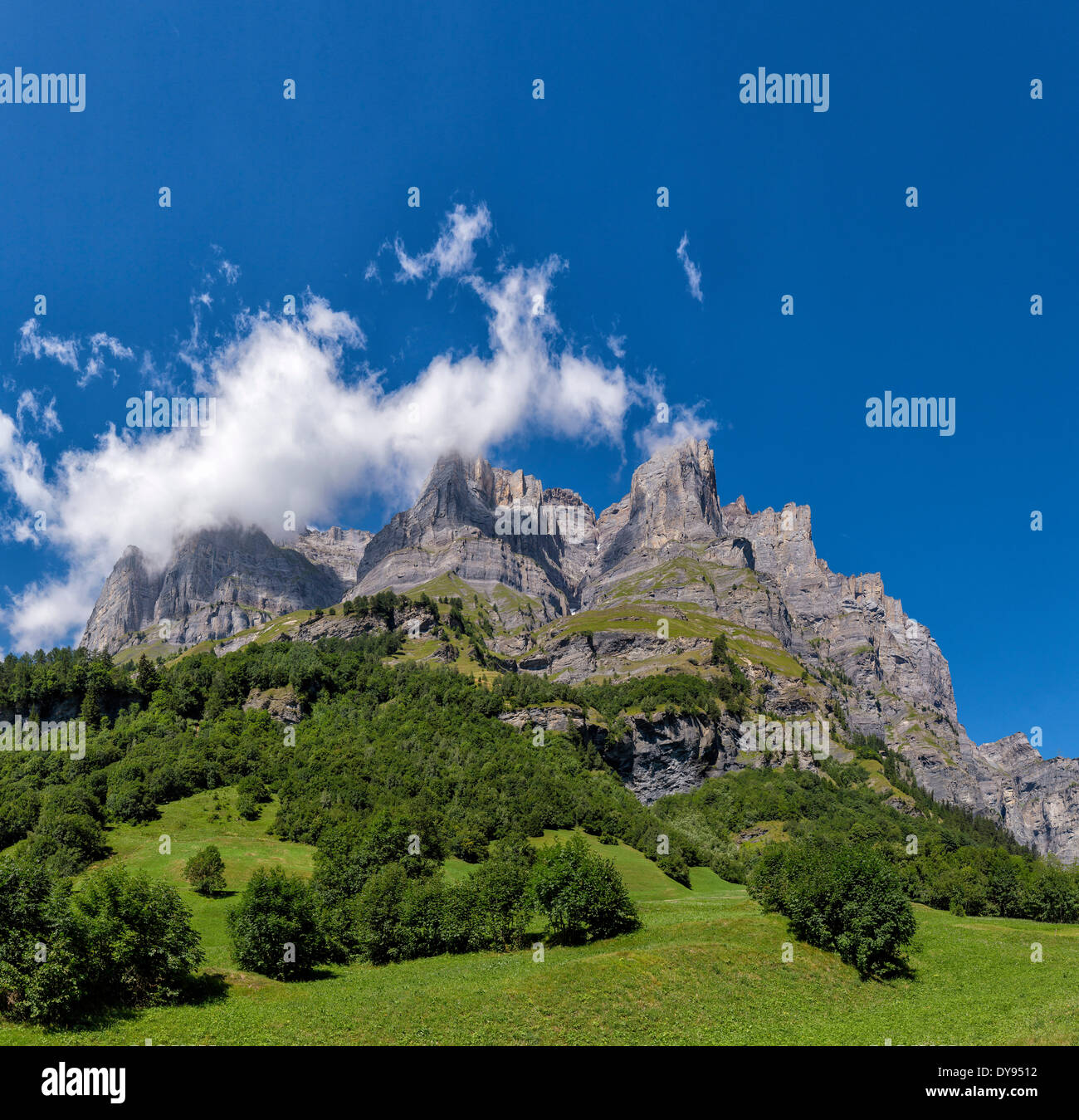 Grobe steile Bergen Trubelstock Schwarzhorn Landschaftsbäume Feld Wiese Sommer Berge Hügeln Leukerbad Wallis Valais S Stockfoto