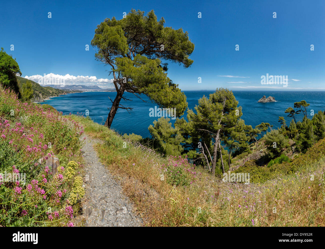 Wanderweg Chemin du Joncquet mediterrane Landschaft Wasser Bäume Frühling Berge Meer La Seyne Sur Mer Var France Europe, Stockfoto