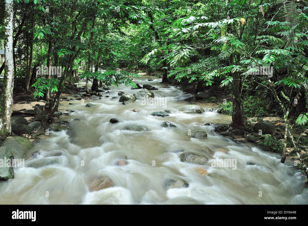 Fluss in Sungai Tua, Ulu Yam, Malaysia Stockfoto