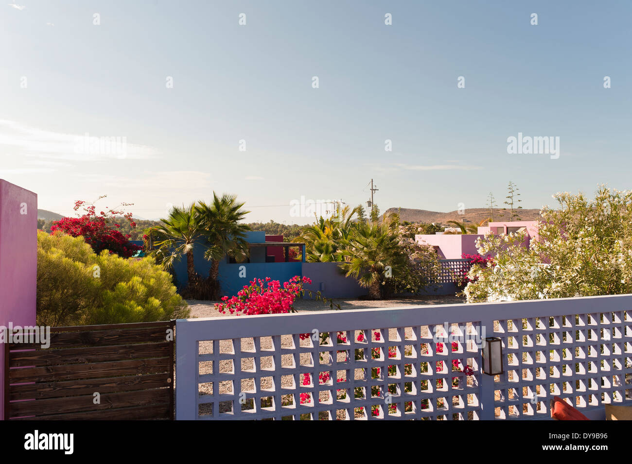 Konkrete Rankgitter Wand im Innenhof des mexikanischen Hotels mit Palmen Pflanzen und bourgainvillea Stockfoto