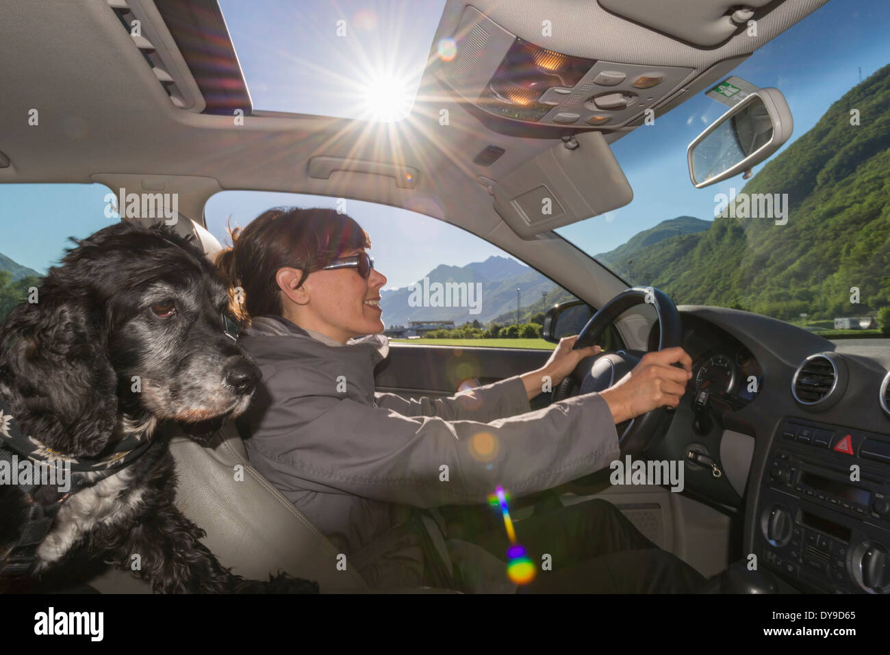 Frau Autofahren mit ihrem Hund im Tessin Schweiz, Europa Stockfotografie -  Alamy