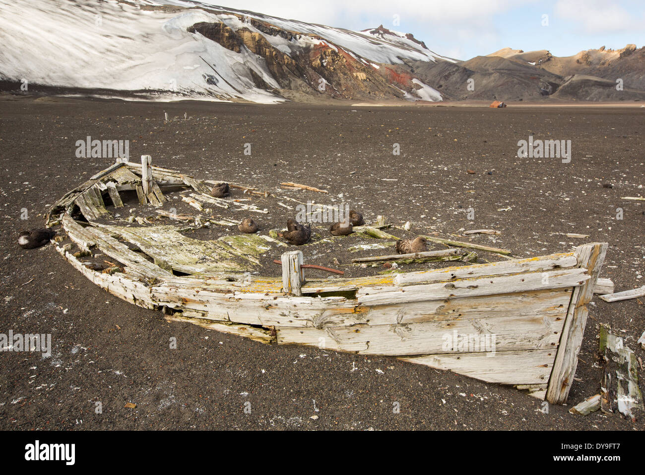 Reste einer alten Walfänger Boot auf Deception Island in Süd-Shetland-Inseln vor der antarktischen Halbinsel n Stockfoto