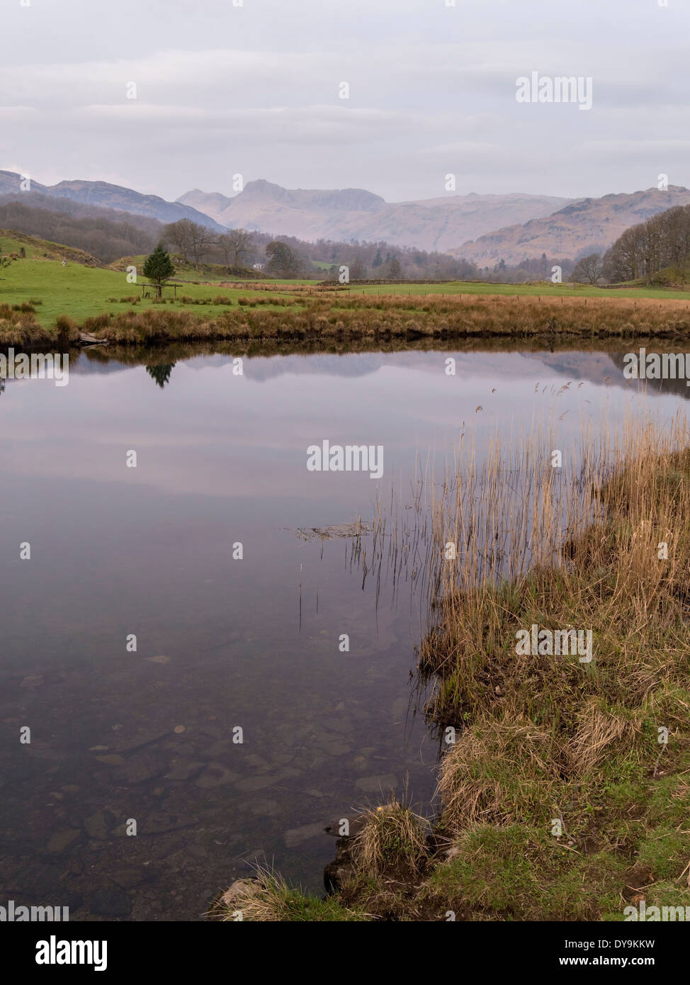 Langdale Pikes und Fluß Brathay im englischen Lake District, Cumbria, England Stockfoto