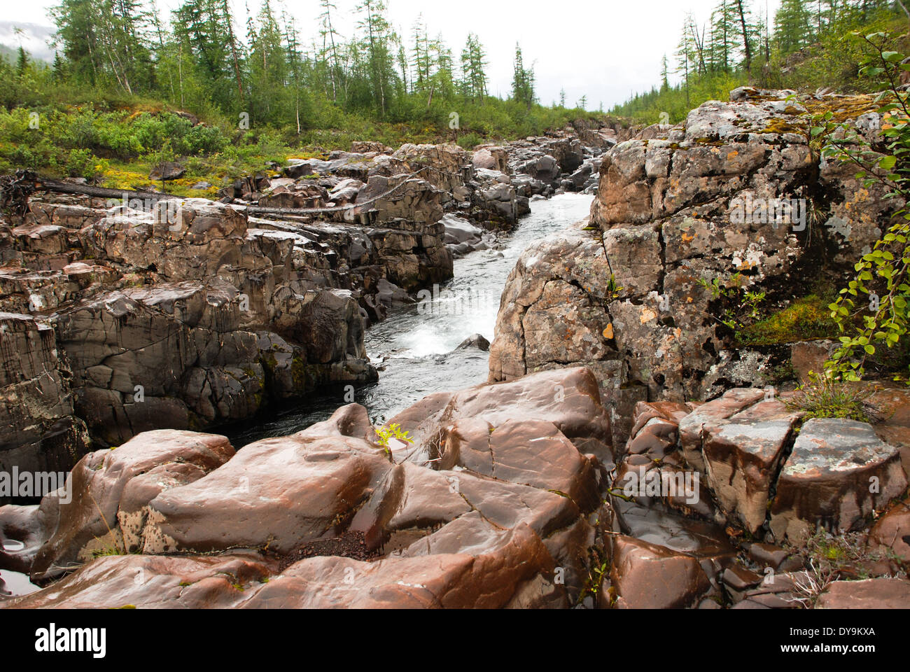 Felsige Schlucht des Flusses Berg. Russland, Taimyr Halbinsel Putorana Plateau. Stockfoto