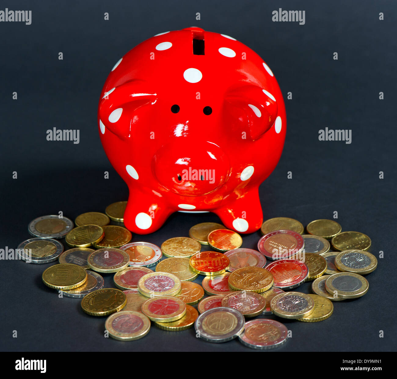Euro-Münzen mit roten Schwein auf schwarzem Hintergrund zu speichern. Geld Finanzkonzept Stockfoto
