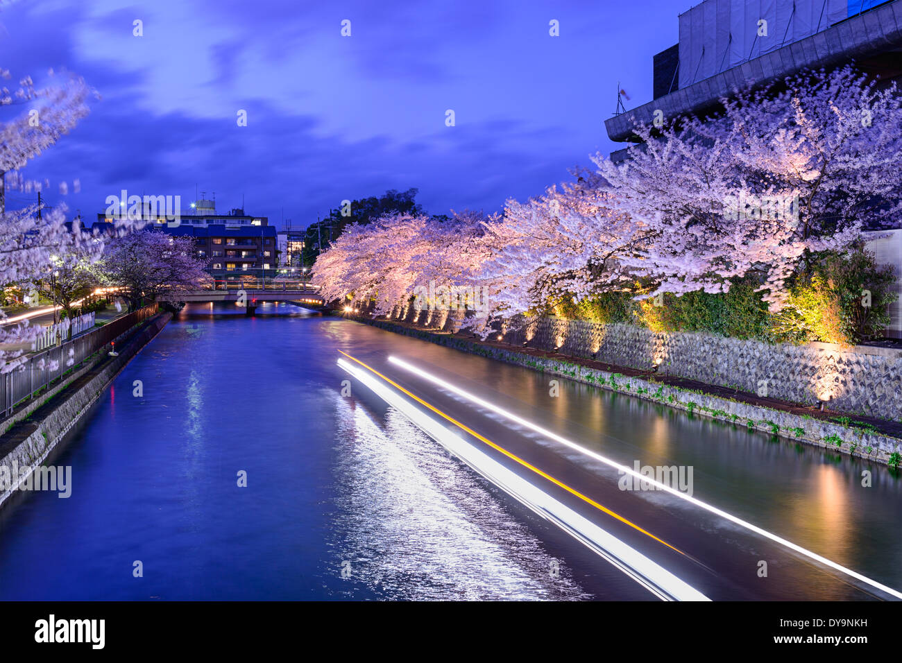 Kyoto, Japan am Okazaki-Kanal während der Kirschblüte Frühjahrssaison. Stockfoto