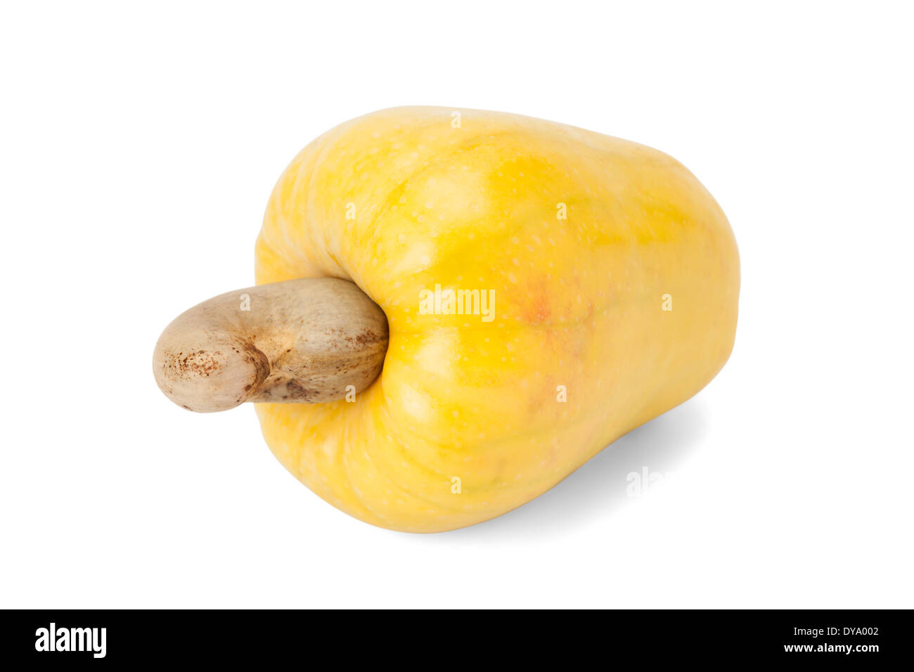 Frische reife brasilianische Caju Cashew-Frucht mit Pfad Stockfoto