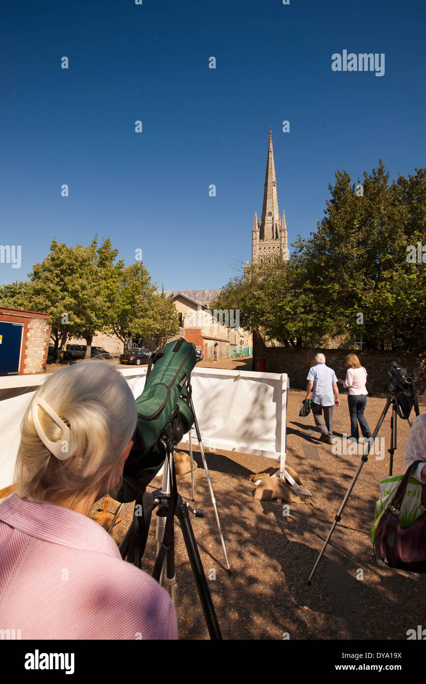 Großbritannien, England, Norfolk, Norwich, Besucher auf der Suche nach Wanderfalken auf Dom-Turm Stockfoto