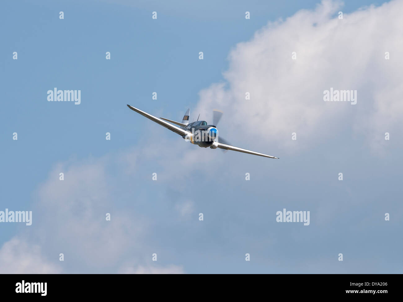 Curtiss P-40N Warhawk bei der Imperial War Museum Duxford Flying Legends Airshow Stockfoto