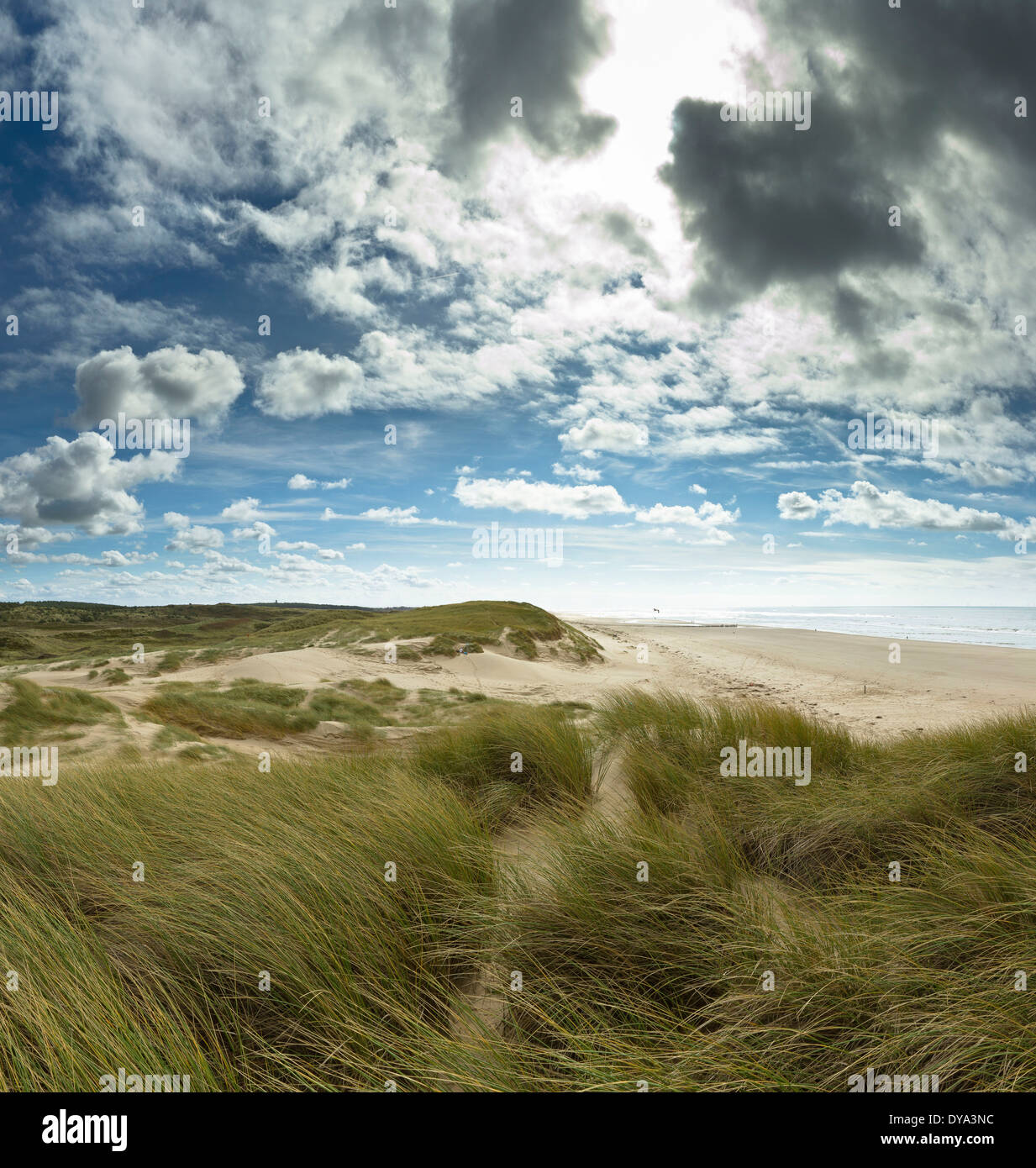 Niederlande, Holland, Europa, Bergen Aan Zee, Noord-Holland, Landschaft, Sommer, Strand, Meer, Dünen, Nordsee, Natur, Küste Stockfoto