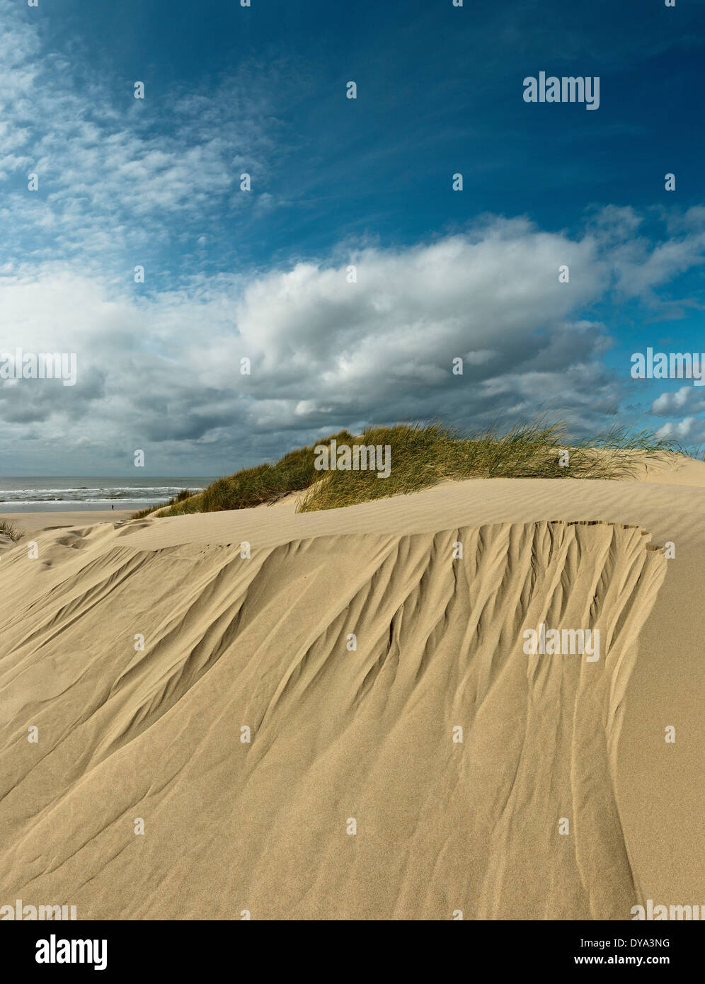 Niederlande, Holland, Europa, Bergen Aan Zee, Noord-Holland, Landschaft, Sommer, Strand, Meer, Dünen, Nordsee, Natur, Küste Stockfoto