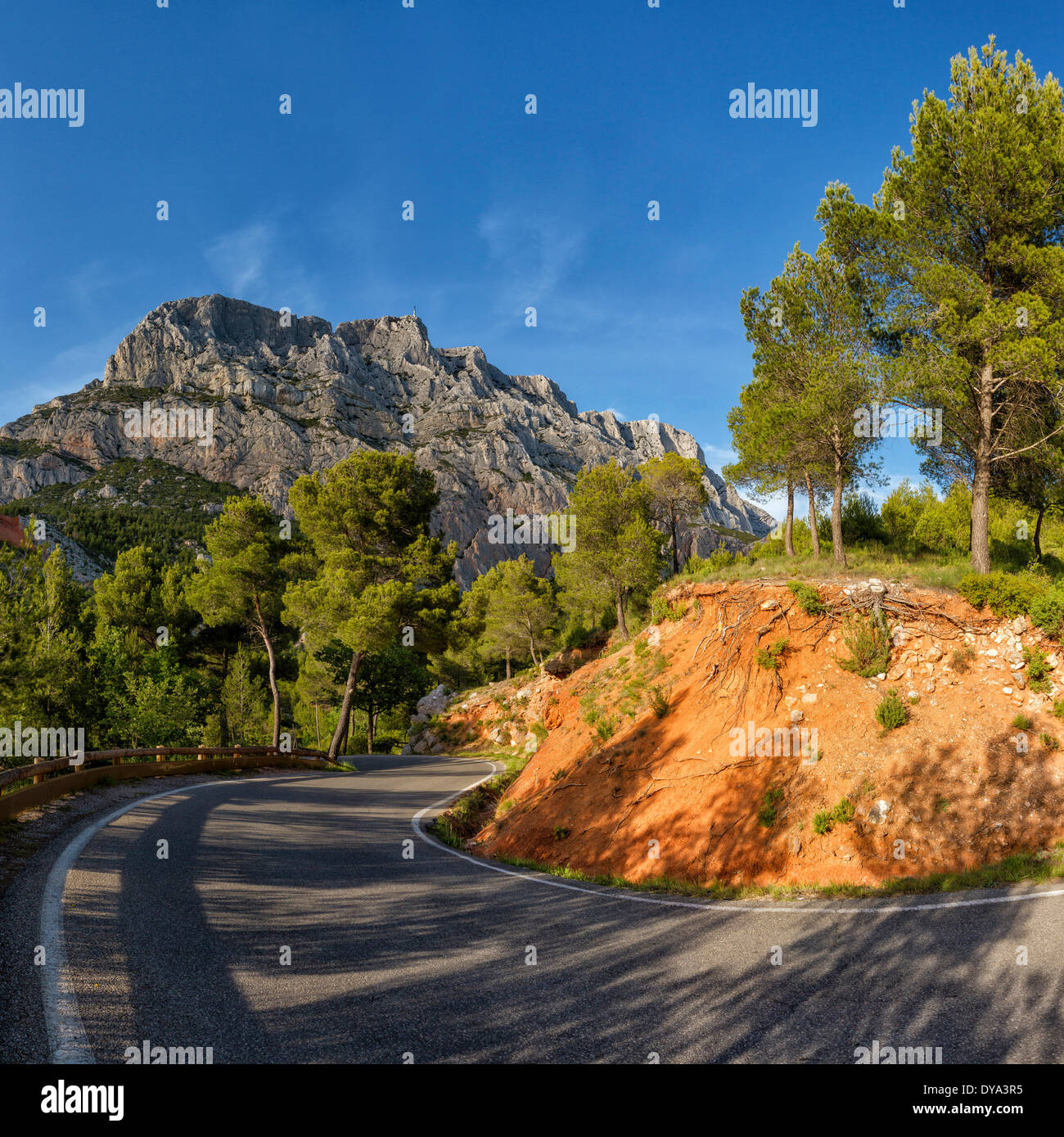 Reserve Natur Sainte Victoire Wald Holz Landschaftsbäume Frühling Berge Hügel Saint-Antonin Sur Bayon Bouches Frankreich Euro Stockfoto