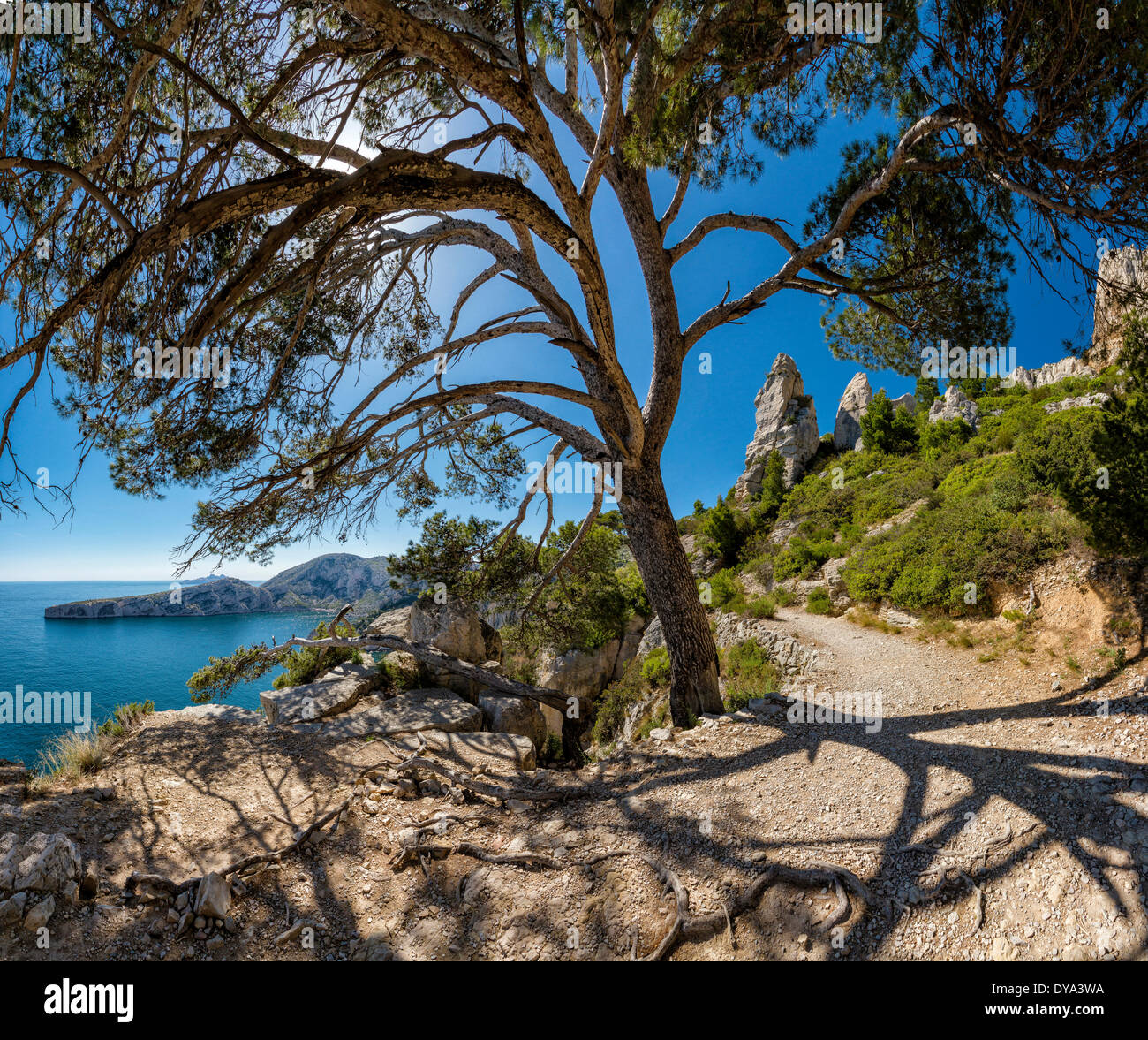 Wanderweg, Calanques, Landschaft, Wasser, Bäume, Sommer, Berge, Meer, Cassis, Bouches-du-Rhône, Frankreich, Europa, Stockfoto