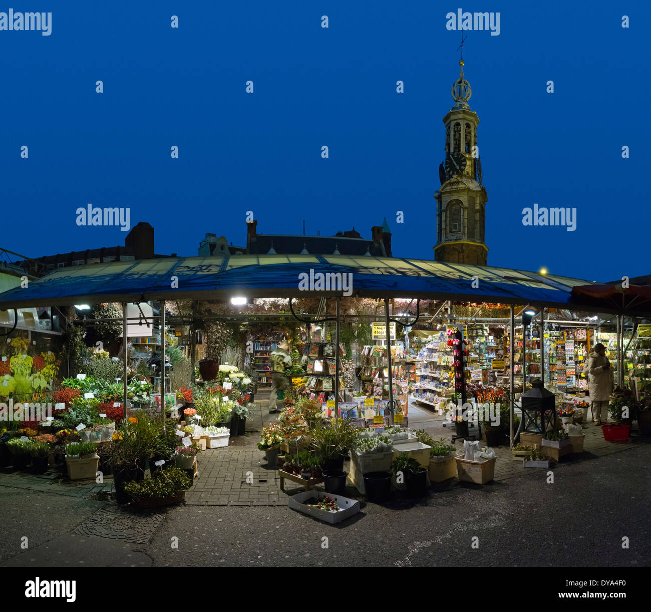 Niederlande, Holland, Europa, Amsterdam, Noord-Holland, Stadt, Dorf, Blumen, Winter, abends, Blumenmarkt, Markt, Singel Stockfoto