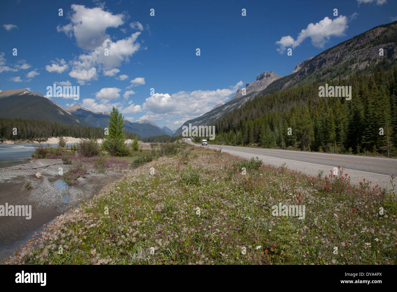 Alberta Banff National Park, Berge, Fluss, Kanada, Landschaft, Landschaft, Nordamerika, Rocky Mountains, Wasser Stockfoto