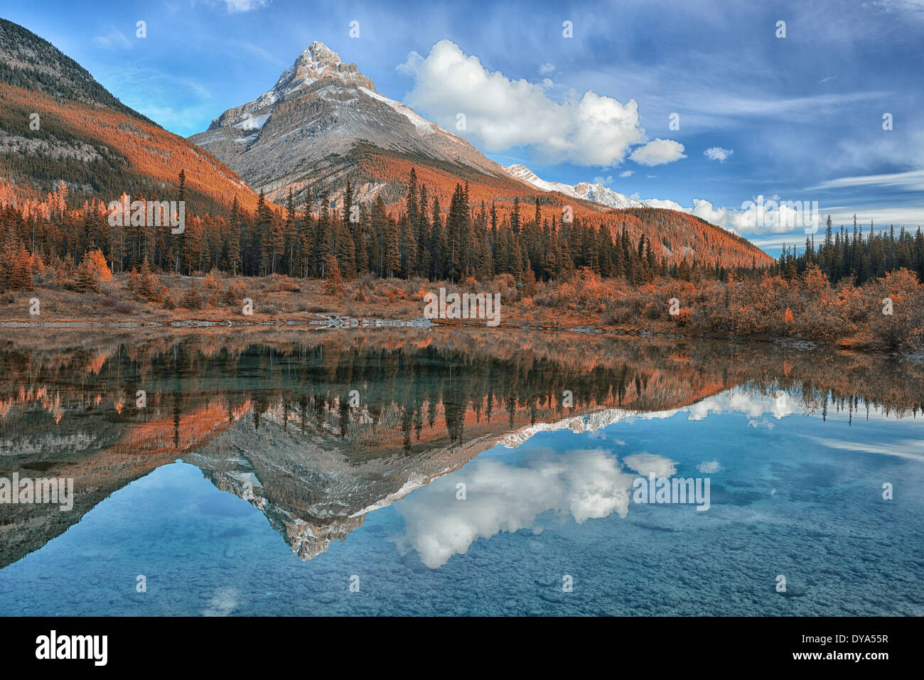 North Amerika Kanada Alberta Banff National Park Landschaft Herbst Herbst Natur Reflexion Icefield Parkway Rocky Rocky Bohranlage Stockfoto