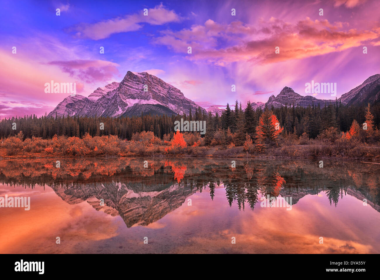 North Amerika Kanada Alberta Banff National Park Landschaft Herbst Herbst Natur Reflexion Icefield Parkway Rocky Rocky Bohranlage Stockfoto